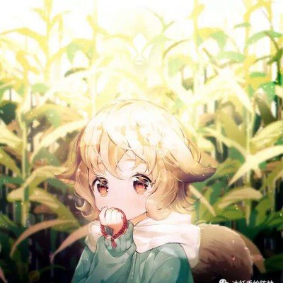 糯米藕